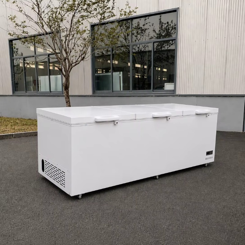 ثلاجة تجارية أفقية عميقة من ال - مراجعة Commercial Chest Freezer وسعره